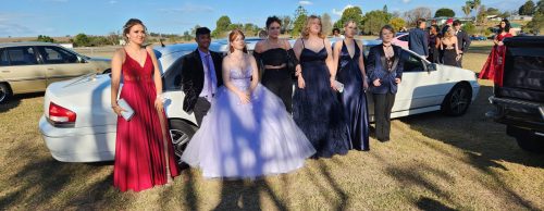 several youth ready to go to their formal. Having photos in front of our 9 passenger limo