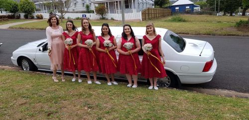 7paxlimo-wedding (3)