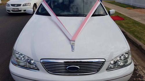 9paxlimo-wedding (27)