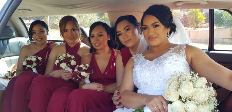 limousines brisbane - limo blue